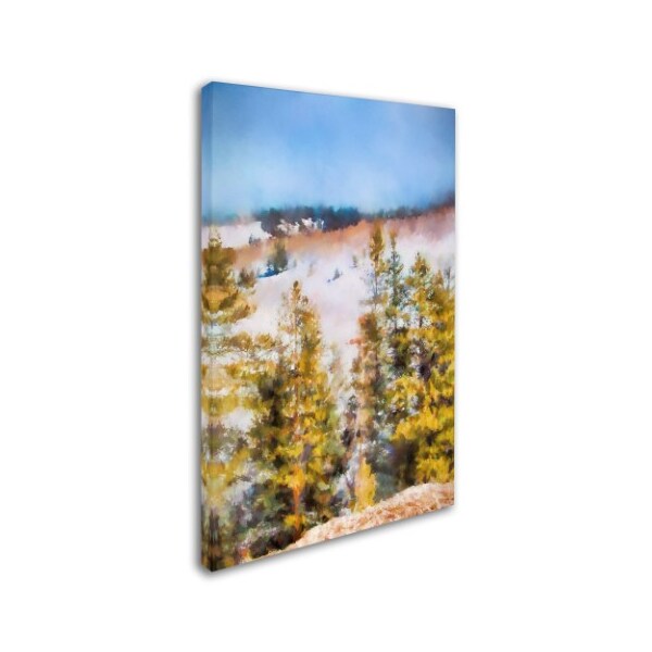 Jai Johnson 'Colorado Color Splash 1' Canvas Art,30x47